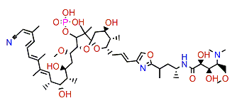 Calyculin C